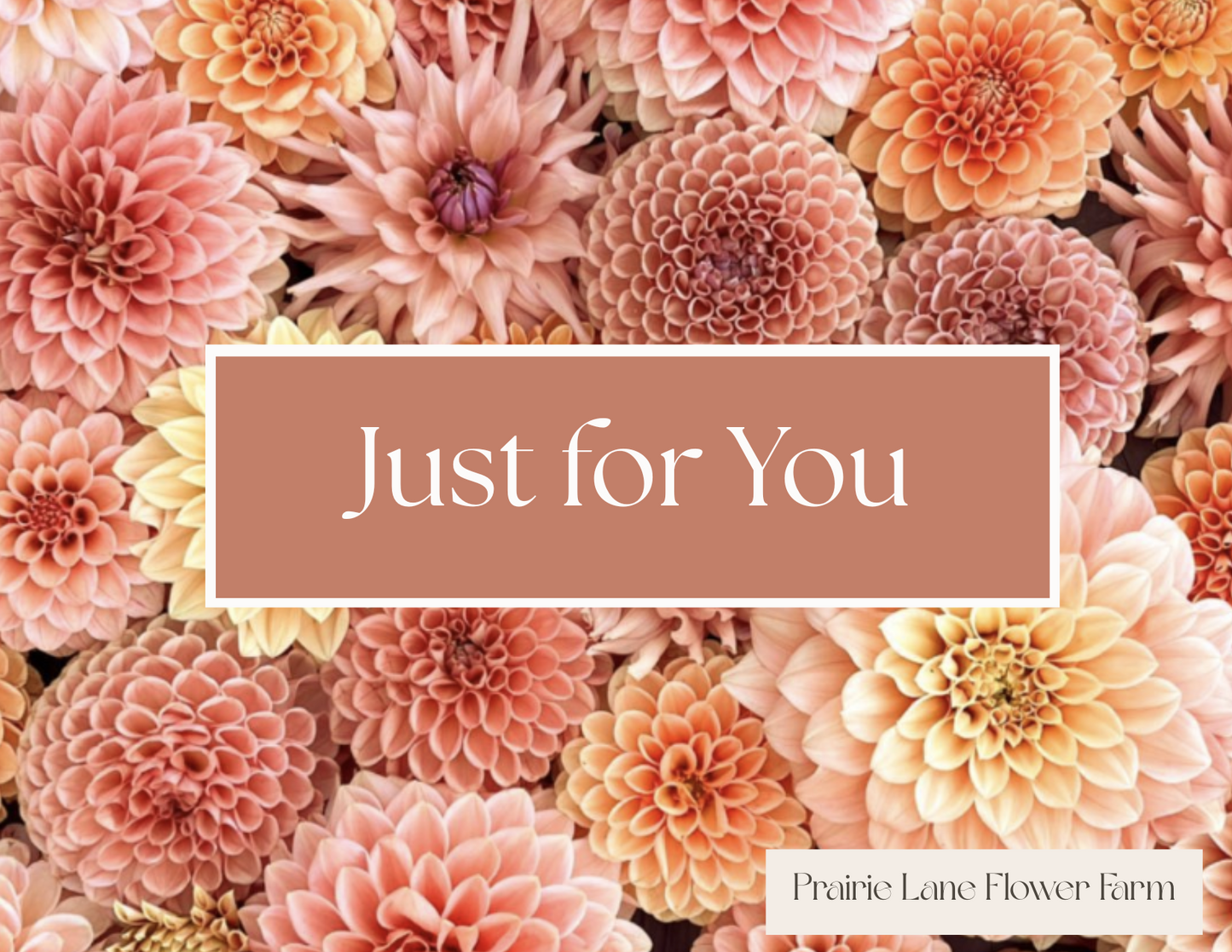 Prairie Lane Flowers Gift Card