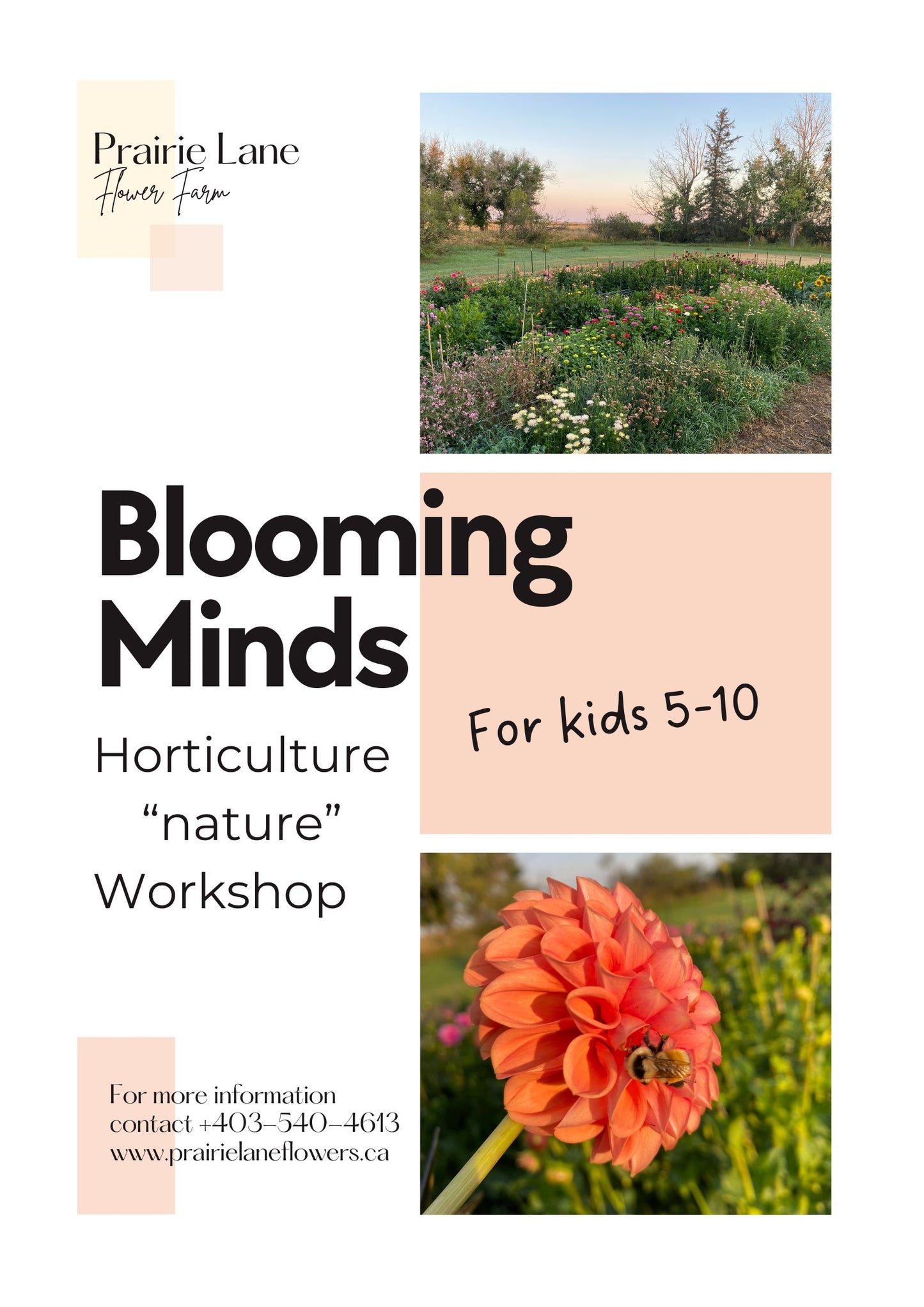 Workshop: Blooming Minds: In-School Field Trip