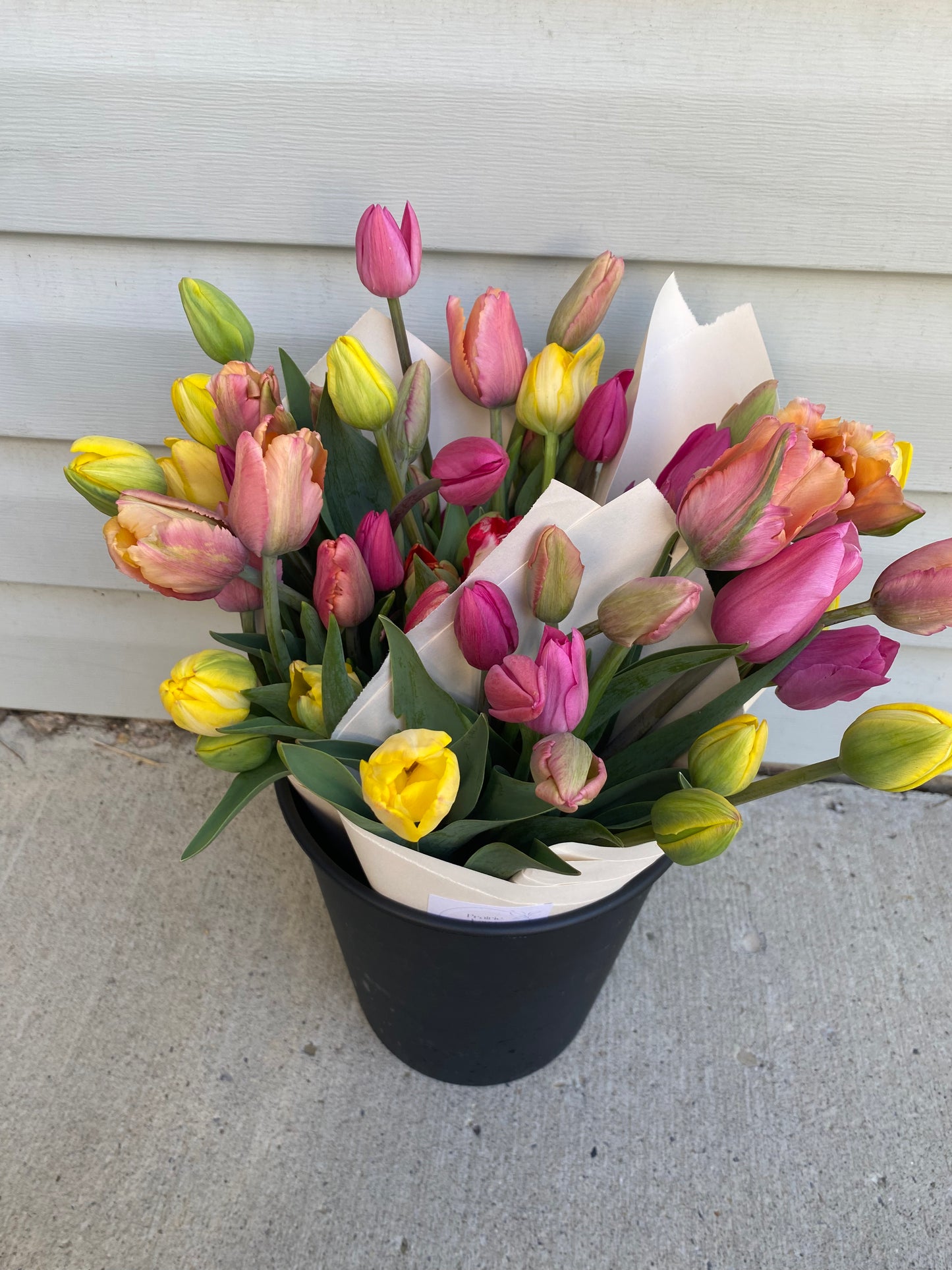 Spring Tulip & Narcissus Subscription
