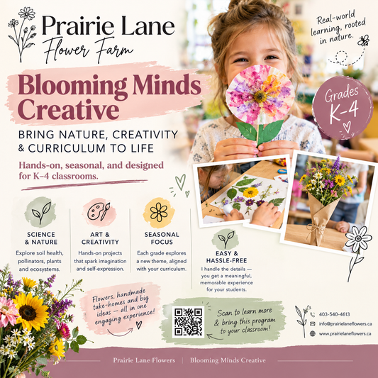 Blooming Minds Creative: A Classroom "Field Trip"