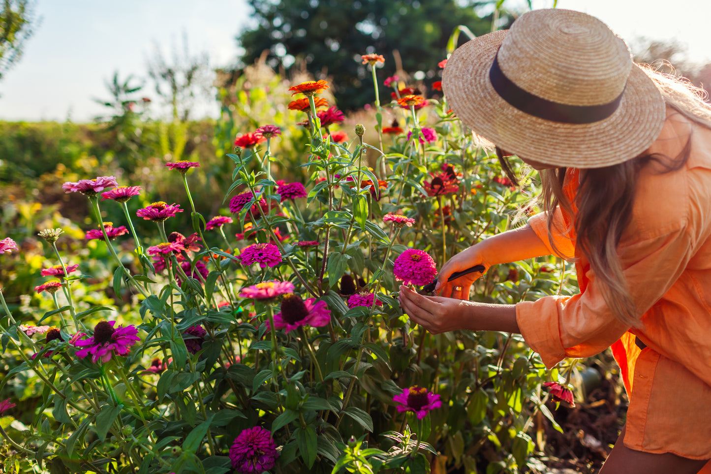 U-Pick Flower Farm Experience