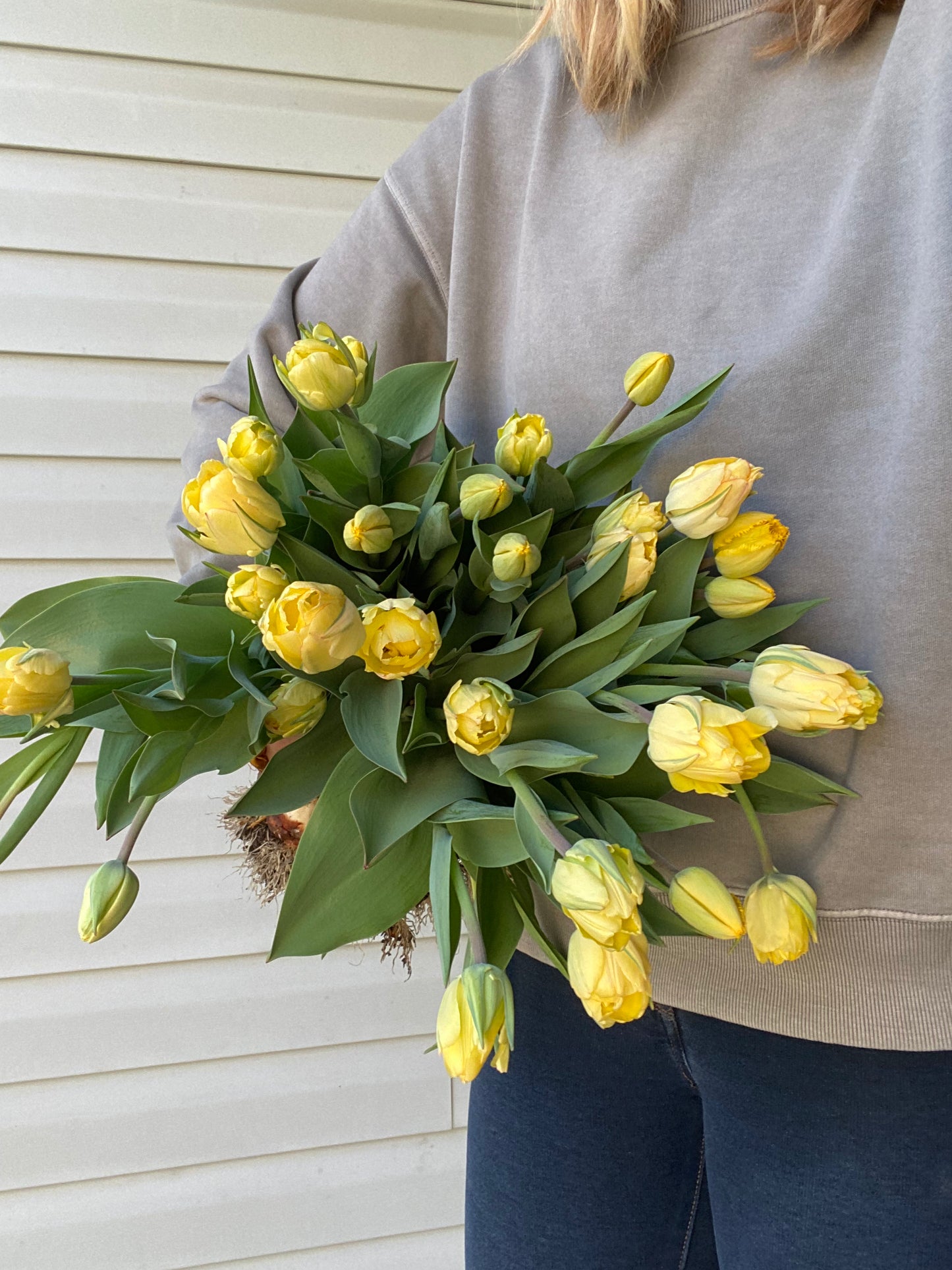 Spring Tulip & Narcissus Subscription