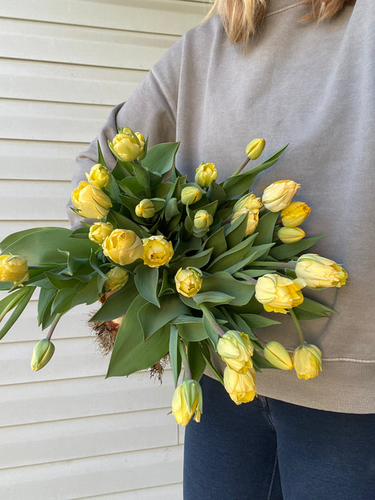 Spring Tulip & Narcissus Subscription