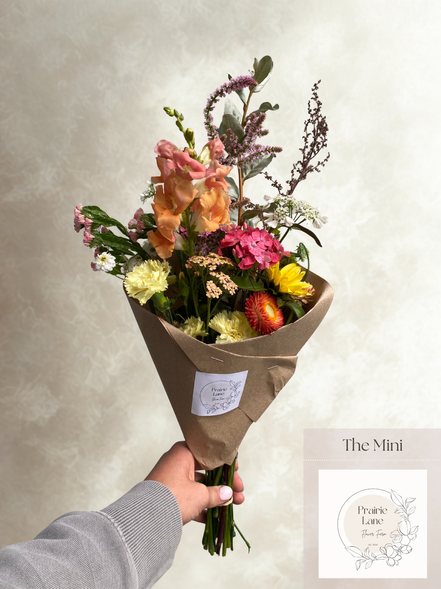 Bouquet of flowers held by a hand with a plain background