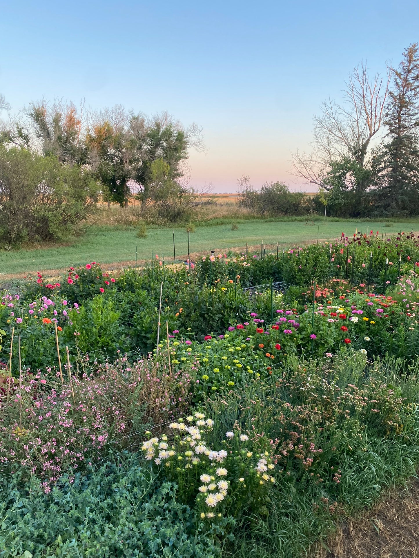 U-Pick Flower Farm Experience